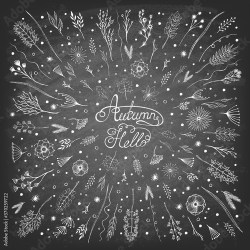 Autumn design elements on the blackboard. Vintage style. Collection autumn leaves. Vector illustration.