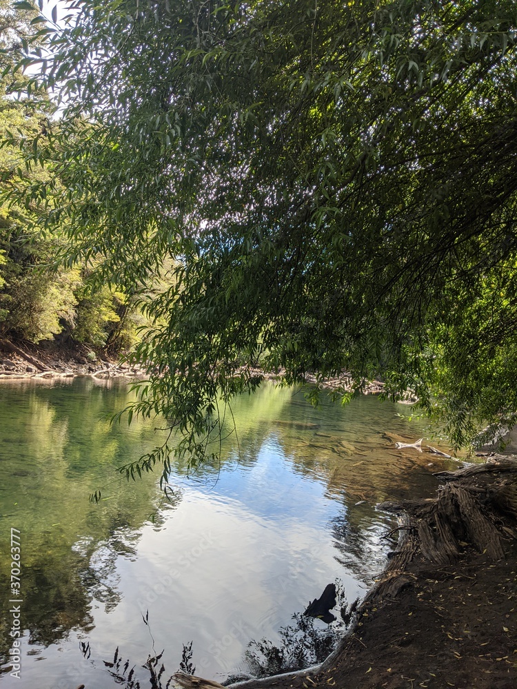 Obraz premium river in the woods