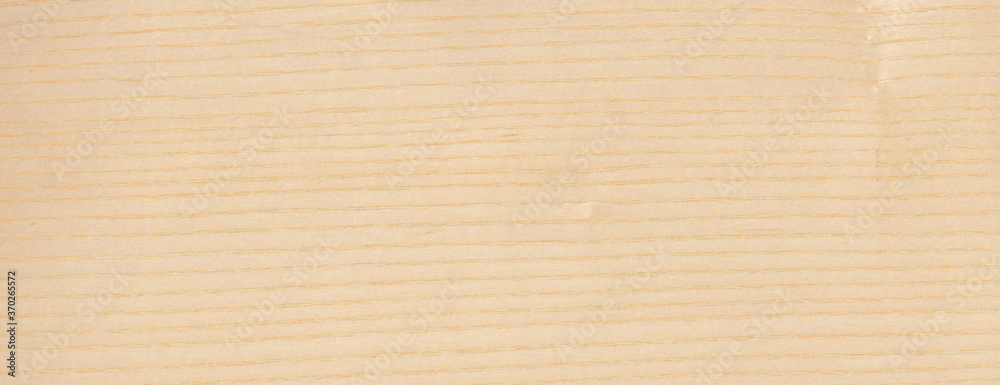 Wood Texture Background Ash Wood Texture Background Ash