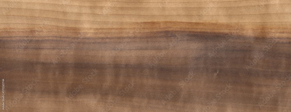 Fototapeta premium Wood Texture Background Alder