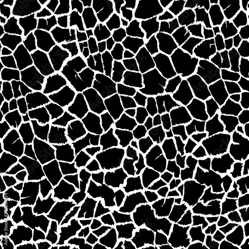 Somali giraffe black white vector seamless pattern