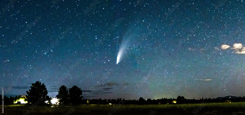 view of comet neowise in the night sky