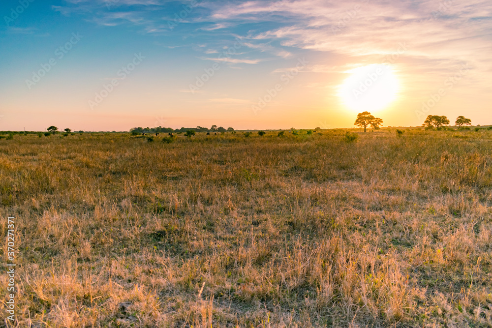 atardecer de campo con el sol brillante detrás atardecer de campo con el sol brillante detrás