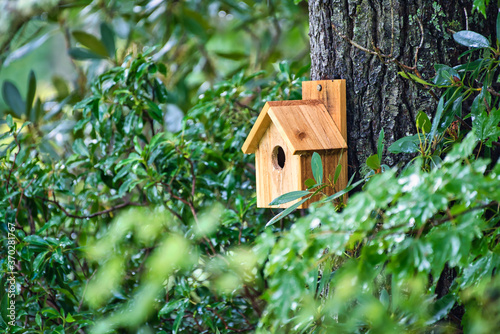 A close up of a birdhouse on a tree in the forest. © Joe