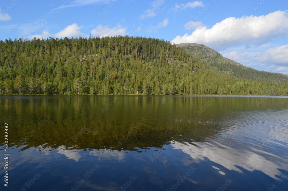 lake in the forest