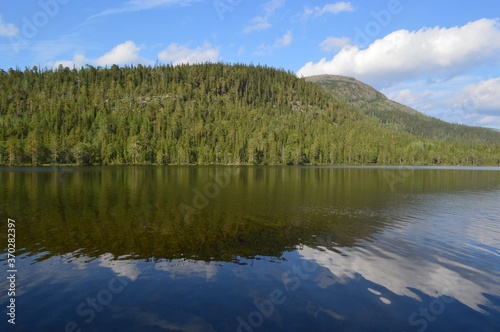 lake in the forest