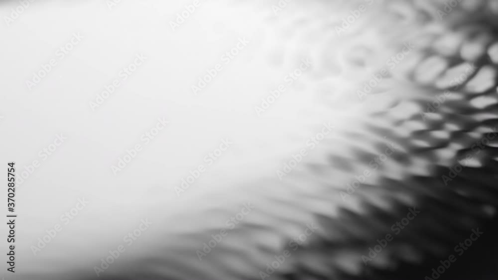Acoustic resonance in a ferromagnetic liquid. Propagation of sound and electromagnetic waves in a liquid substance. Unusual pattern. Entertaining physics of nature