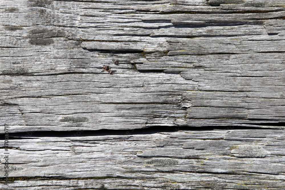 Weathered driftwood in a seaside resort. Weathered driftwood in a seaside resort.