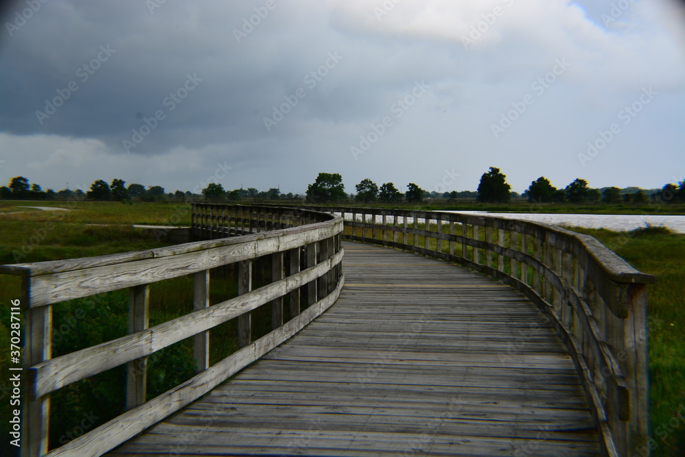 Wooden Bridges In Texas