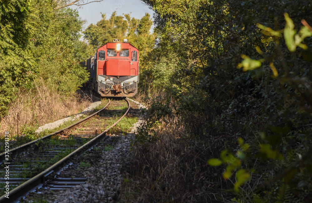 Locomotive on the curve of moving rails in the middle of nature