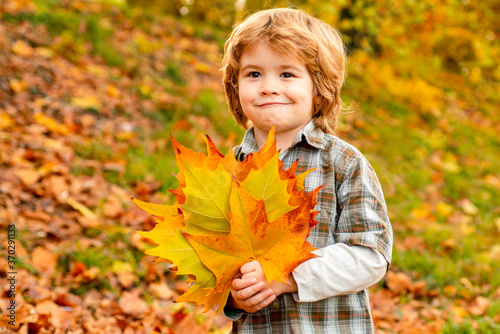 Autumn portrait of cute little caucasian boy.