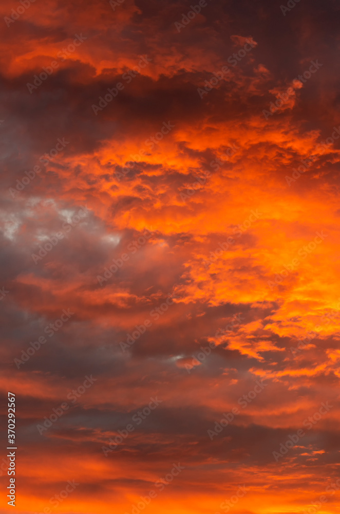 Magnificent skyline with yellow-orange Cumulus clouds illuminated by the sunset vertical orientation