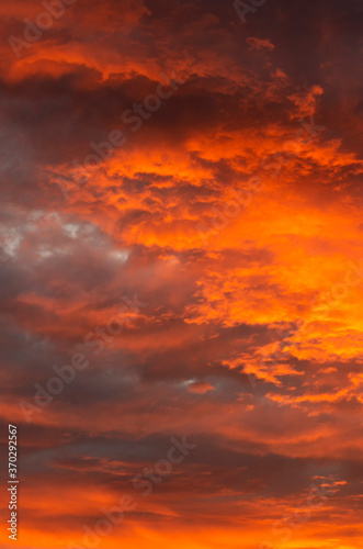 Magnificent skyline with yellow-orange Cumulus clouds illuminated by the sunset vertical orientation © Dmitriy Os Ivanov