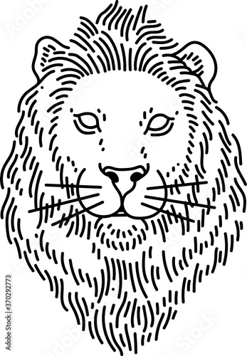 Fototapeta Naklejka Na Ścianę i Meble -  Lion Head Line Art
