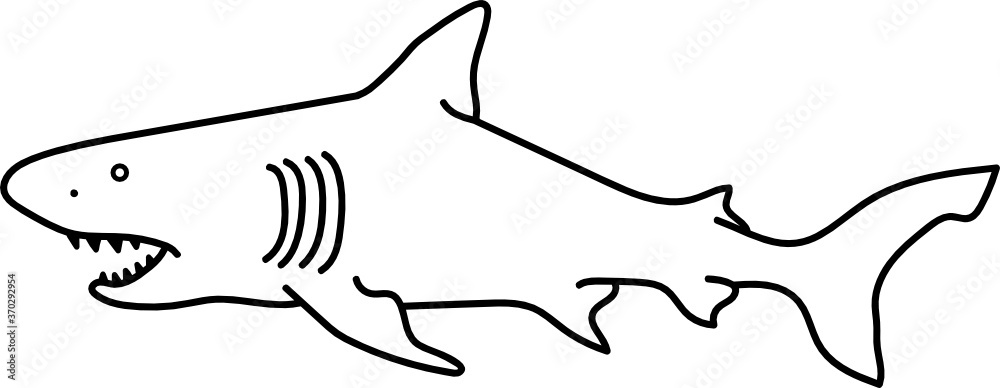 Shark Minimal Line Art Shark Minimal Line Art