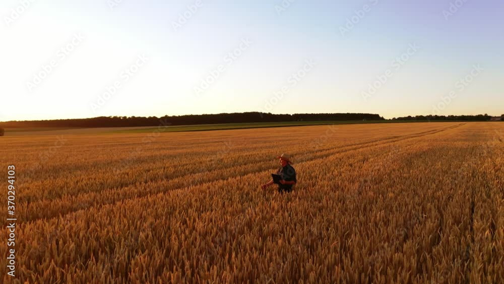 Farmer in farmland at sunset. Male specialist in straw hat walking on golden field and examining the ripeness of plants in the evening. Farmer in farmland at sunset. Male specialist in straw hat walking on golden field and examining the ripeness of plants in the evening.