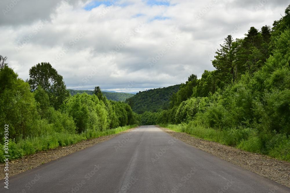 Paved road with green forest. Overcast sky.