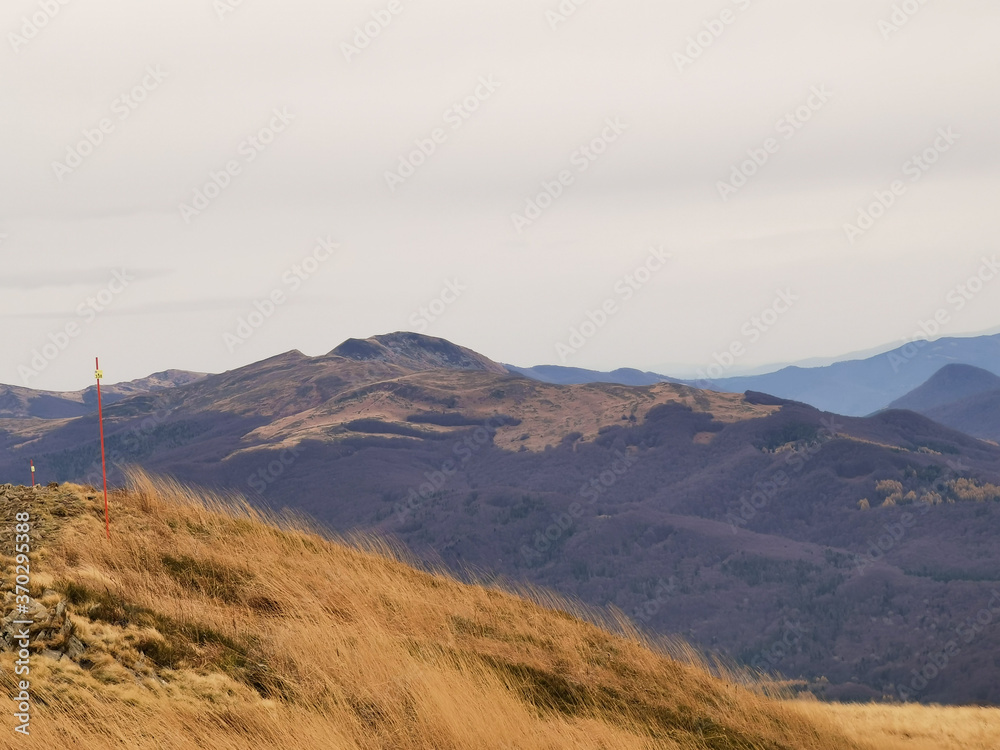 Tarnica in the autumn, Bieszczady, Poland