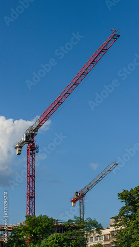 Construction cranes in a construction site surrounded by trees