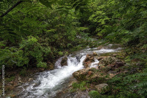 Suncheon Jogysan Mountain Creek