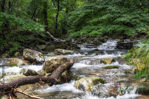Suncheon Jogysan Mountain Creek photo