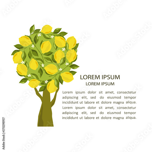 Illustration with lemons and place for text, poster design. Colorful background vector. Cartoon wallpaper. Hand drawn backdrop, fruits