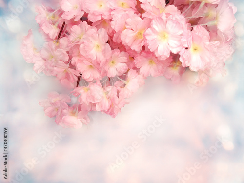 spring background flowering white sakura cherry flowers tree and abstract bokeh