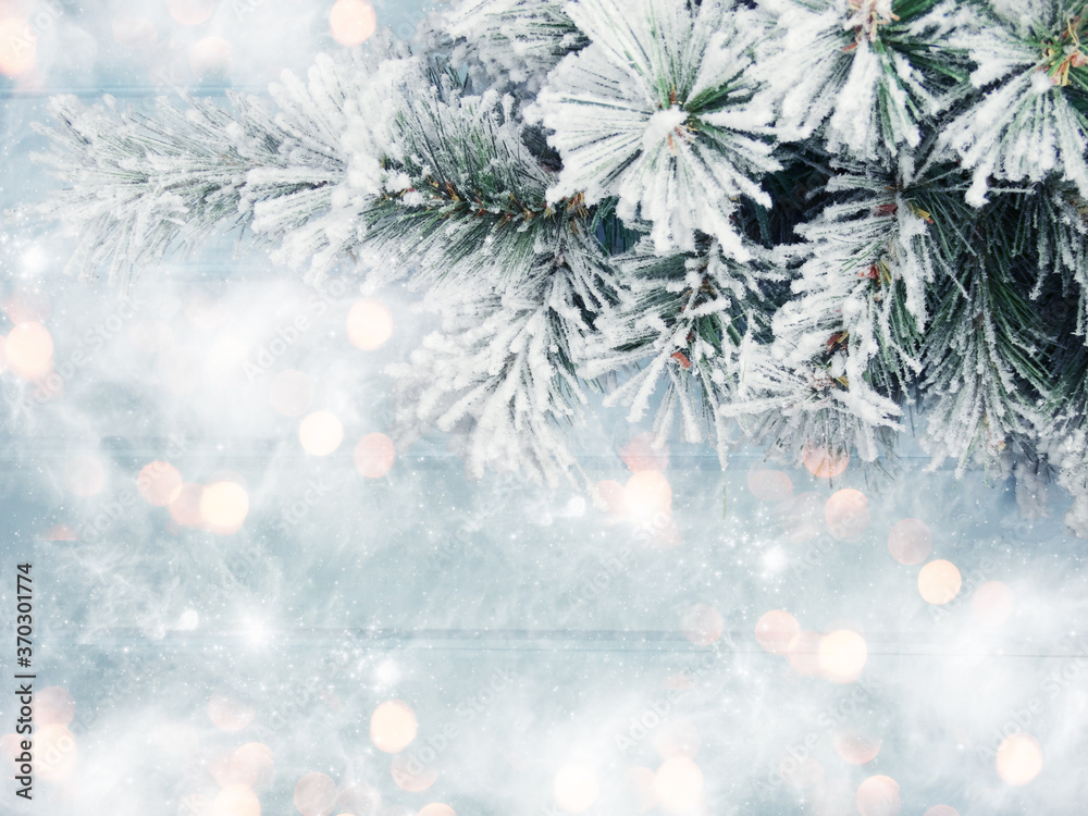 winter background with fir branches cones and snow