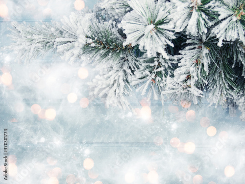 Obraz na płótnie winter background with fir branches cones and snow w salonie