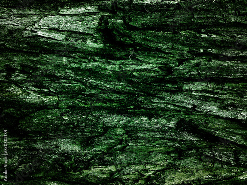 Old wood texture background