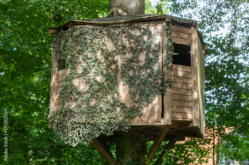 Baumhaus in einem Baum, Deutschland, Europa photo