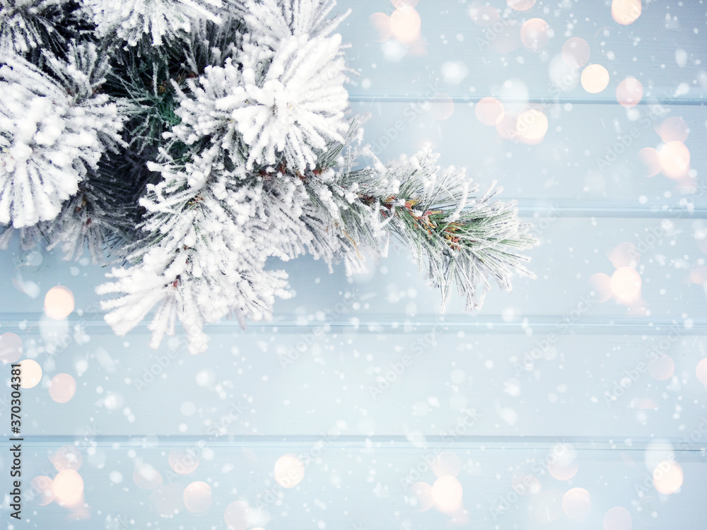 winter background with fir branches cones and snow winter background with fir branches cones and snow