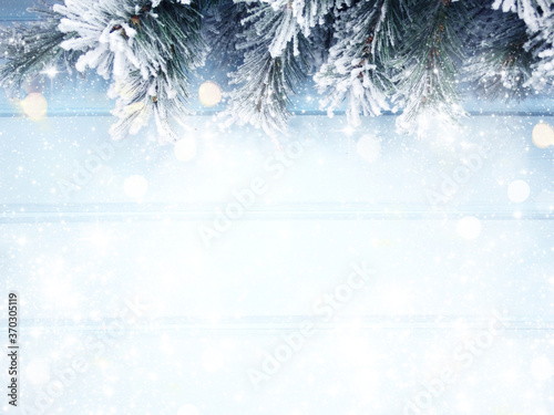 winter background with fir branches cones and snow © Anastasia Tsarskaya
