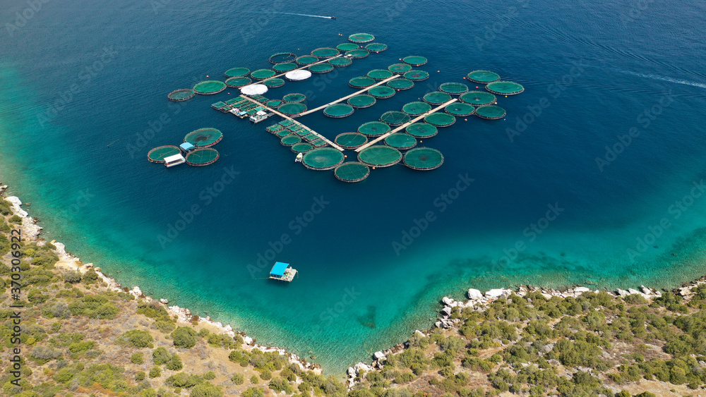 Aerial drone photo of large fish farming unit of sea bass and sea bream in growing cages in calm waters of Mediterranean destination