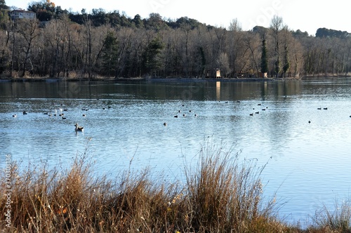un beau lac en provence un matin d'hiver