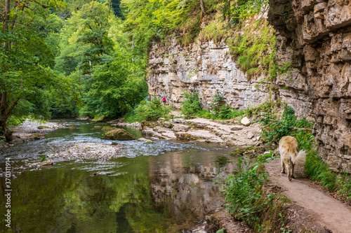 Wutachschlucht - Schwarzwald - Baden Württemberg photo