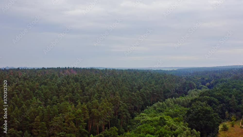 Aerial view of evergreen trees. Aerial drone view of forest trees Aerial view of evergreen trees. Aerial drone view of forest trees