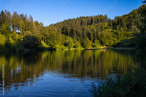 Nonnenmattweiher_3371