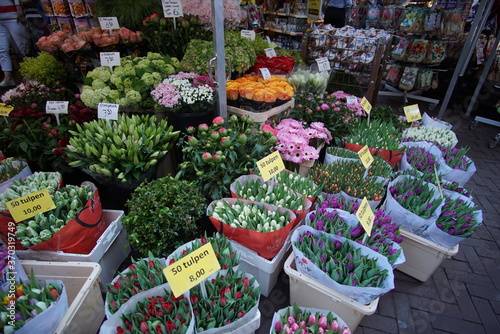 Europe, flower shop of Amsterdam