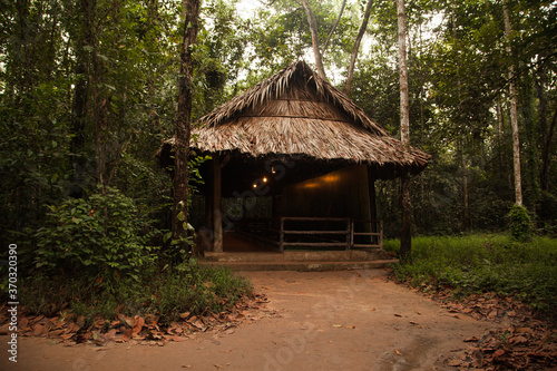 hut in the jungle Fototapet