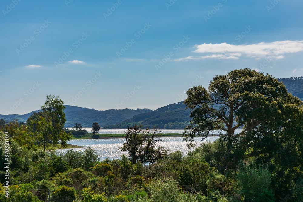 Landscape of mountains, forest and lake in the natural park of los alcornocales in Cadiz