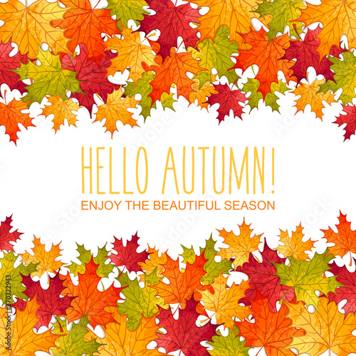 Vector seasonal illustration with watercolor maple leaves on white. Hello autumn colorful background