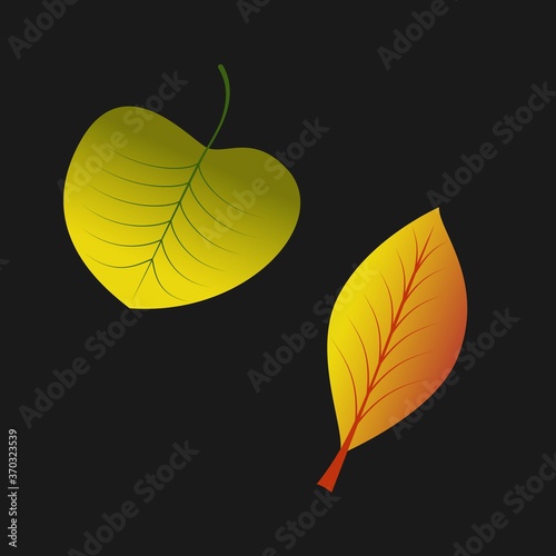 Vector color illustration. Autumn leaves. Abstract vector illustration banner. Light banner. Golden color. Autumn leaf for banner design. Autumn leaves. Isolated vector illustration