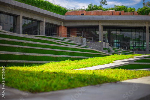 Natural background in the park with many kinds of plants, large stones, allow tourists to stop and take photos while traveling, the beauty of the ecosystem