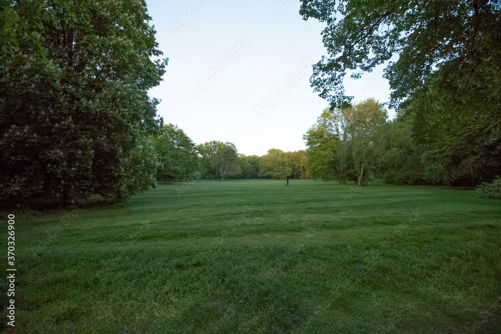 Naklejka premium Berlin Tiergarten