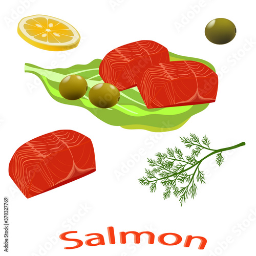 A piece of red fish. Cut salmon slice. Salmon steak isolated on white background. Vector illustration of a fish.