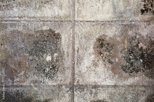 Old covered moss cement brick wall texture background. Copy space for interior vintage background and space for text.