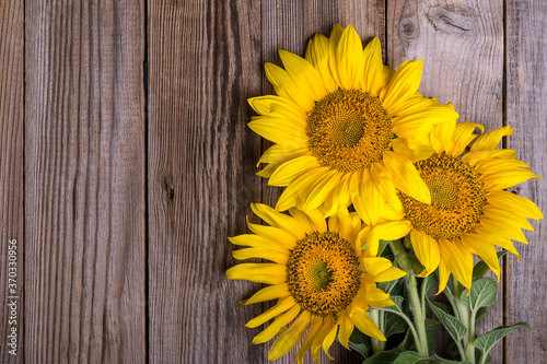 sunflowers on rustic wooden background, summer harvest concept, top view
