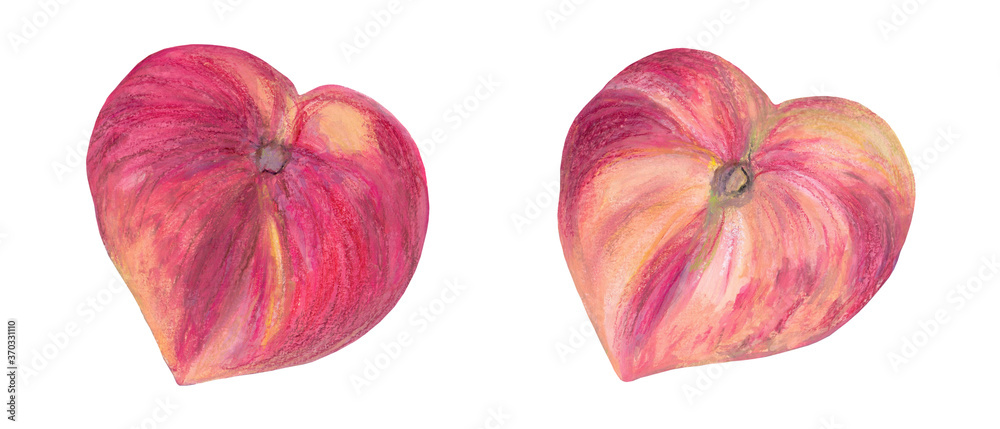 Fototapeta premium Flat peaches mixed media drawing. Colorful isolated fruits in realistic style on white background.