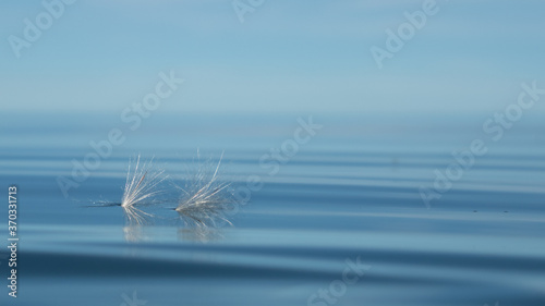 Samen auf dem Wasser